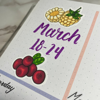 Closeup of a berries themed bullet journal weekly spread.