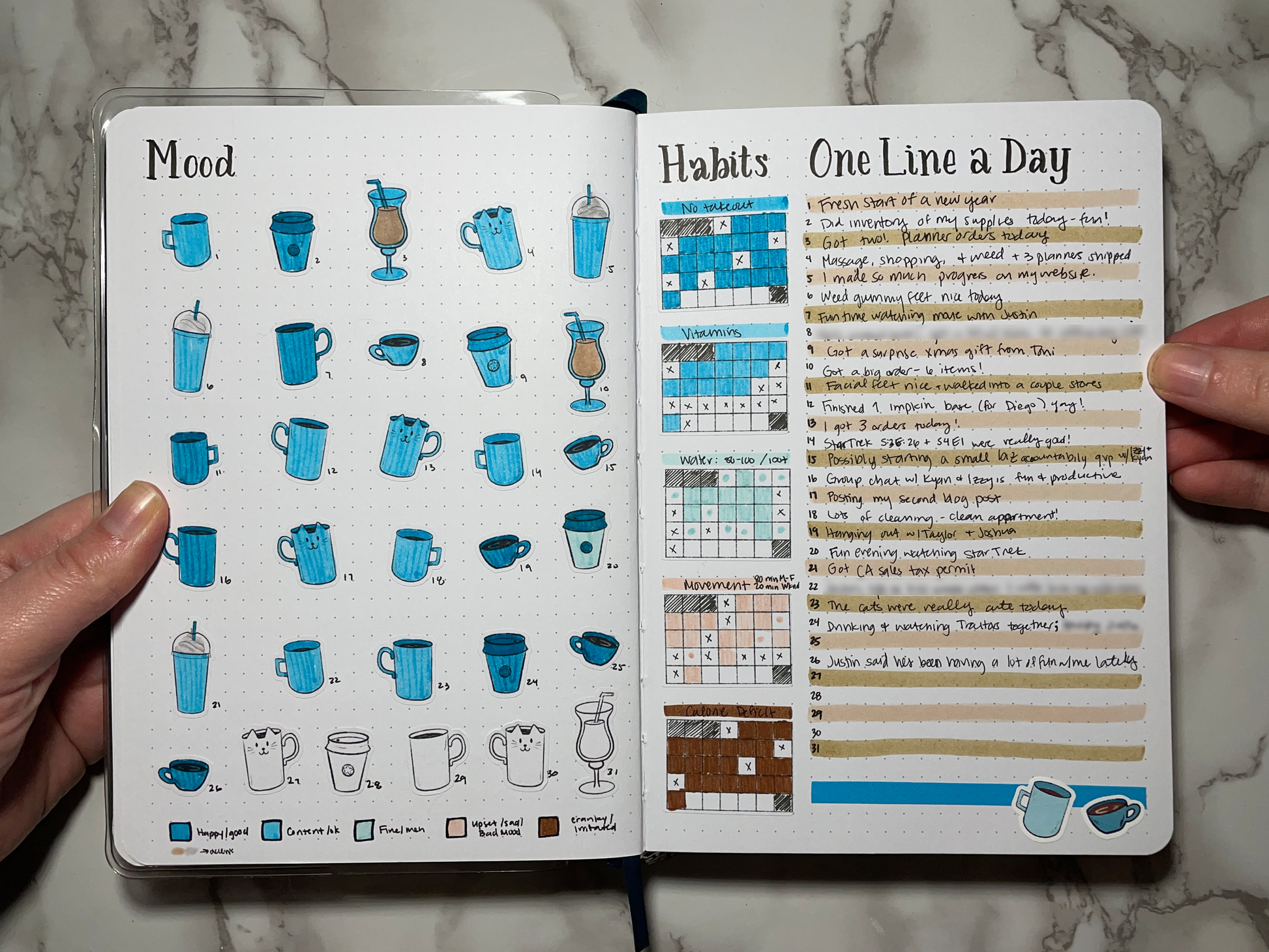 Bullet journal monthly dashboard showing doodle mood log, habit tracker, gratitude/highlights