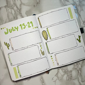 Overview of a cacti themed bullet journal weekly spread.
